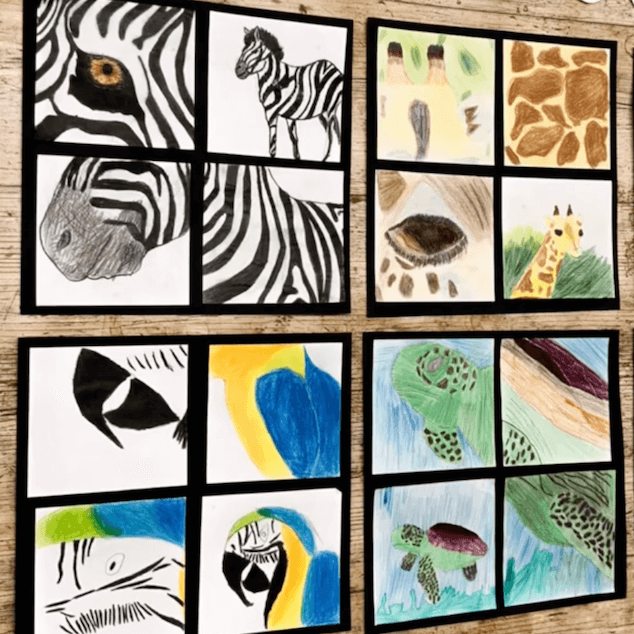 TikTok post of an animal portrait artwork wall display